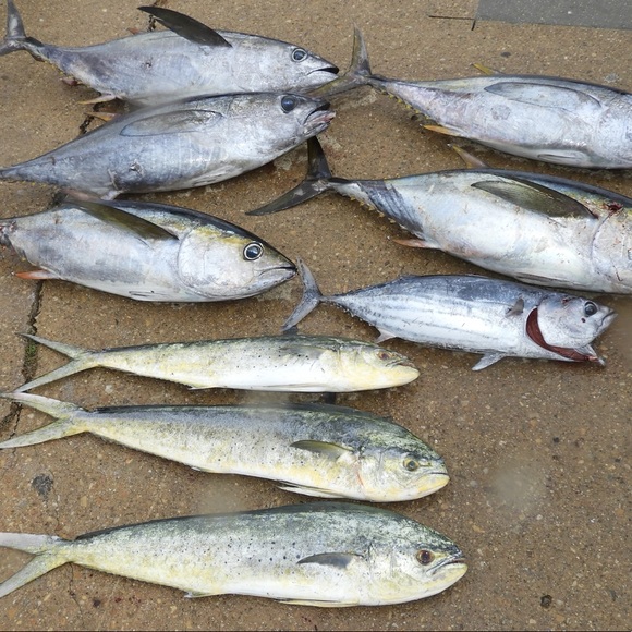 Meet your Posher, Gerald - Picture 15 of 16